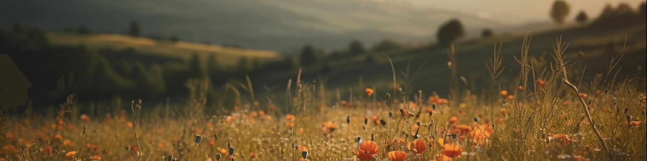 Field Flowers With Mountain Background