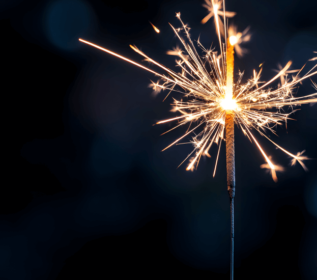 Macro Shot Single Firework Bursting Midair (1)